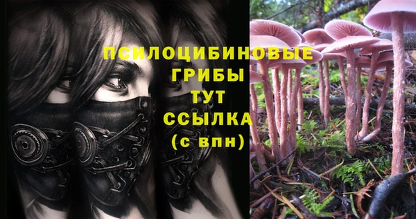 скорость Беломорск