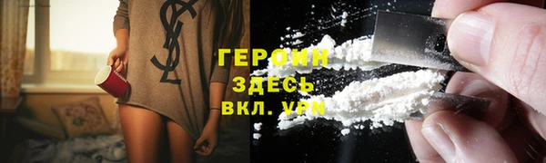 сатива Ростов