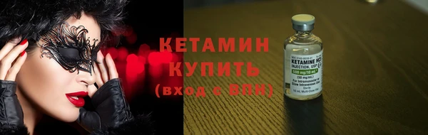 сатива Ростов