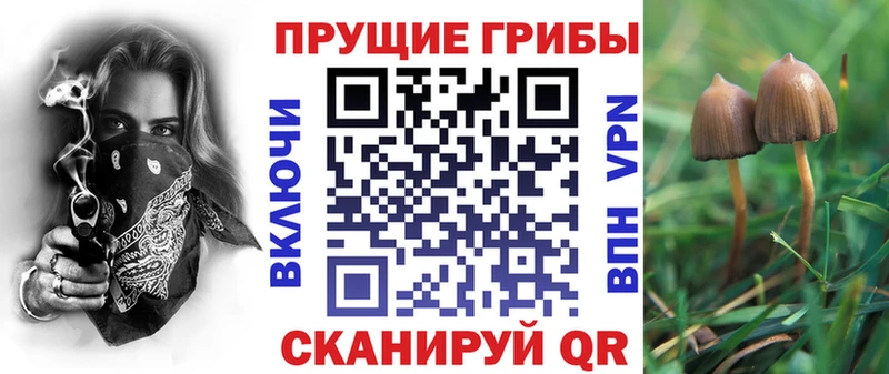 Псилоцибиновые грибы GOLDEN TEACHER  наркотики  Нефтекумск 