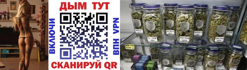 MEGA зеркало  Нефтекумск  Бошки марихуана THC 21% 